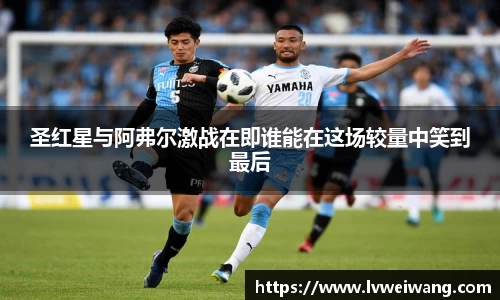 8868体育官网