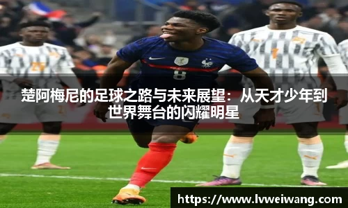 8868体育官网