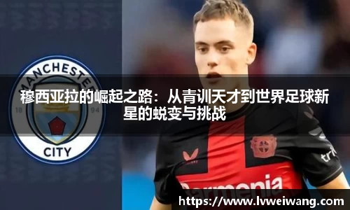 8868体育官网